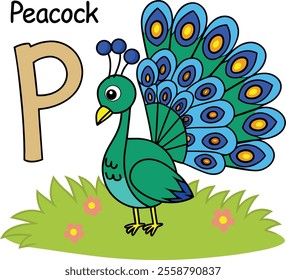  P is for Peacock: Beautiful Illustration for Pre-School Learning with Letter P Design