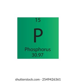 P Fósforo Metal no reactivo Elemento químico Tabla periódica. Ilustración vectorial cuadrada plana simple, icono de estilo limpio simple con masa molar y número atómico para laboratorio, ciencia o clase de química.