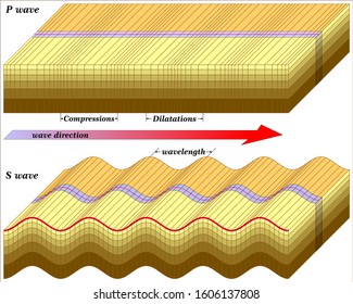 P and S waves Earthquake, Seismic waves as body