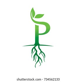 P Seed Plant
Soil Garden Logo