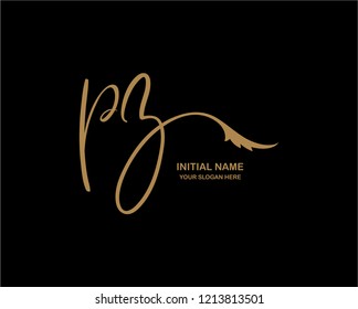 P Z Initial Handwriting Logo Template