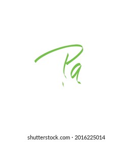 Kennzeichen Pa handschriftlich