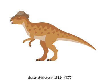 Pachycephalosaurus dinosaur. Vector illustration of a prehistoric dinosaur pachycephalosaurus isolated on a white background. Side view, profile.