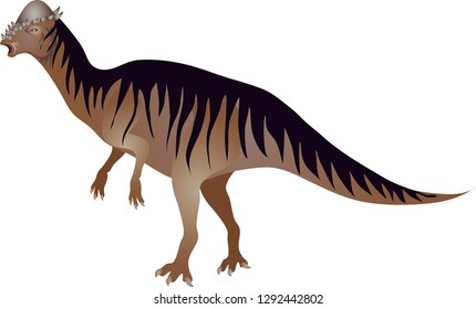 pachycephalosaurus, Dinosaurus, Dinosaur - Vector Illustration