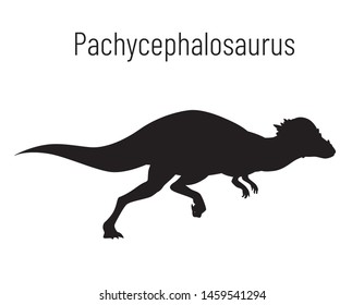 Pachycephalosaurus. Ornithischian dinosaur. Monochrome vector illustration of silhouette of prehistoric creature pachycephalosaurus isolated on white background. Stencil. Huge fossil dinosaur.