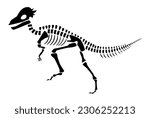 Pachycephalosaurus skeleton . Silhouette dinosaurs . Side view . Vector .