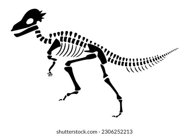 Pachycephalosaurus skeleton . Silhouette dinosaurs . Side view . Vector .