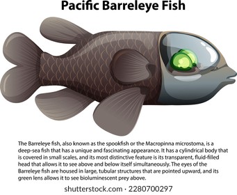 Pacific Barreleye Fish with Informative Text illustration