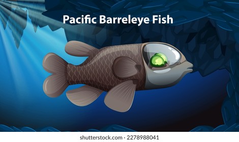 Pacific Barreleye Fish Vector Design illustration