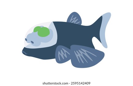 Pacific barrelfish. Deep sea fish with transparent head and green eyes, vector clipart.