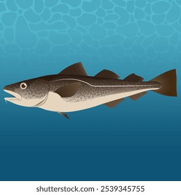 Pacific Cod Fish Vector Image