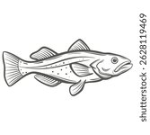 Pacific Cod Gadus Macrocephalus Line Art Illustration