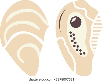 Pacific oyster concept, salt-water bivalve molluscs vector design, Sea Food symbol, Underwater Animals aquatic Common species illustration