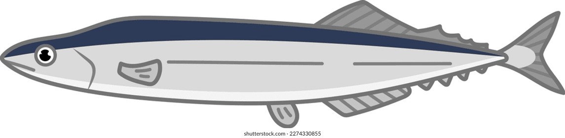 Ilustración vectorial aislada de la auría del Pacífico.