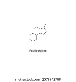 Pacifigorgiane skeletal structure.Diterpene compound schematic illustration. Simple diagram, chemical structure.