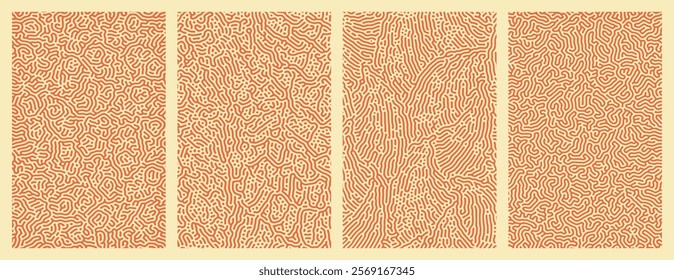 Pack of abstract organic line turing patterns designs for backgrounds