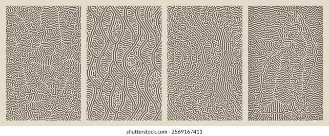 Pack of abstract organic line turing patterns designs for backgrounds