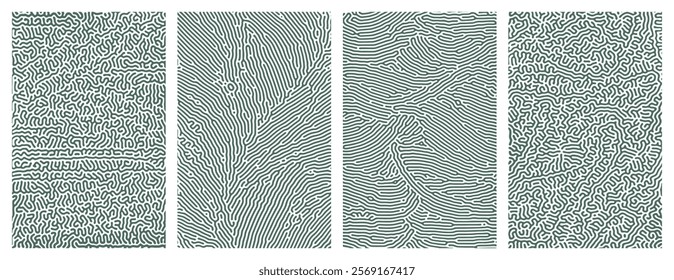 Pack of abstract organic line turing patterns designs for backgrounds