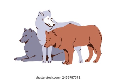 Rudel von arktischen grauen oder nordwestlichen Wolf entspannt. Pelzige polare Raubtiere. In: Wild Animals Group. Nordfauna, Wildtiere, sibirische Wälder Einwohner. Flache isolierte Vektorillustration auf weißem Hintergrund