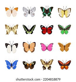 Paquete de hermosas mariposas e ilustraciones planas 

