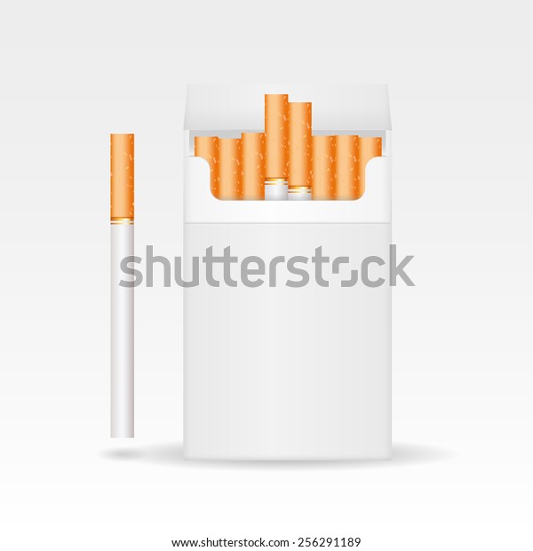 Pack Cigarettes White Blank Box Cigarette Stock Vector Royalty Free 256291189