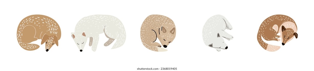Pack of cute dogs. Dogs of different breeds in trendy flat style. For t-shirt, banner, style, print, card, product, vector illustration. Flat vector illustration. Isolated on white background.