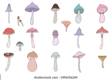 Pack of cute doodle fall illustrations with beautiful wild mushrooms.