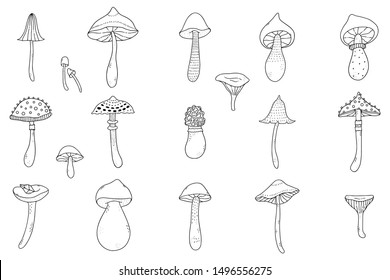 Pack of cute doodle fall illustrations with beautiful wild mushrooms.