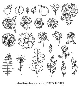 Pack of cute  floral illustrations, hand drawn flowers and leaves isolated on white background. 