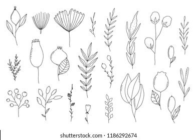 Pack of cute flowers, bears and foliage. Doodle illustrations isolated on a white background. 