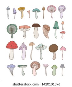 Pack of cute mushroom illustrations. Lovely doodle drawings of fungi. 