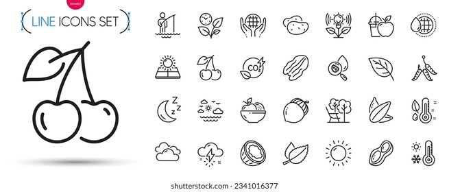 Pack of Deckchair, Cherry and Sunflower seed line icons. Include Sunny weather, Incubator, Water analysis pictogram icons. Organic tested, Fruits, World water signs. Maggots. Vector