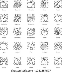 Pack of Delicious Fruits in Line Style 