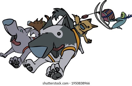 Pack of dogs pulling sled with driver and some cargo. Vector. Colors, pack, sled and harness are are on separate layers