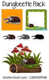 A pack of dung beetle illustration