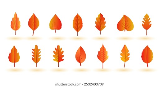 pack of flat autumn leaves element background design vector