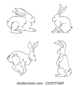 El paquete de cuatro bosquejos de conejos de Pascua. Salto, sentado, de pie y de los conejitos tendidos. 