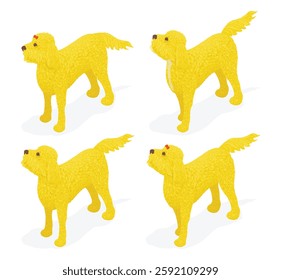 Pacote de quatro cães labradoodle vetorial ou goldendoodle incluindo dois arcos vermelhos removíveis em perspectiva isométrica - fácil de remover sombras e fundo 