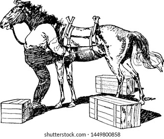 Pack Horse, Vintage Engraved Illustration.