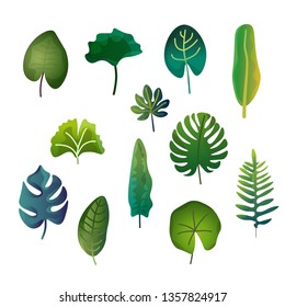pack of leaves illustration vector
