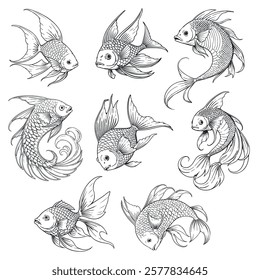 A Pack Of Line Art Gold Fish, Vector, illustration