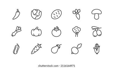 Pack of line vegetable icons. Premium signs for web, apps, sites and UI. Editable vector. Outline objects. 