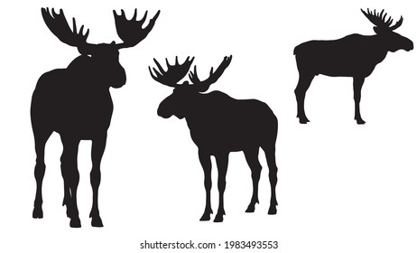pack of moose vector silhouette illustration isolated on white background