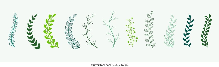 Paket aus organischen und botanischen Blättern Element Hintergrund Design Vektor