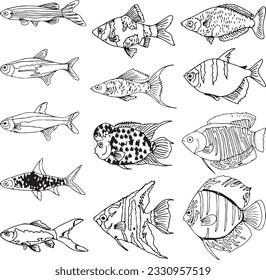 pack of outline fish vector illustration collection isolated in white background