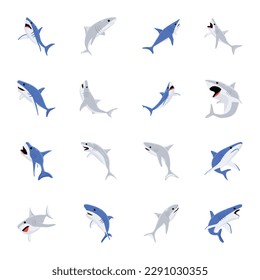 Pack of Sharks Flat Vector Designs 

