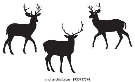 pack of three Deers vector silhouette illustration isolated on white background