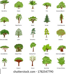 Pack of Trees Flat Icons 