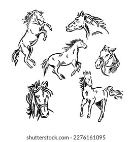a pack of vector horse illustrations in a very elegant retro and vintage style