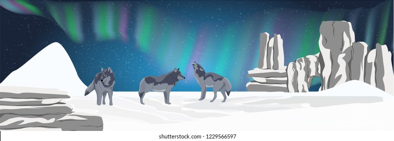 A pack of wild wolf stands in a snowy northern valley and looks at the night sky. Realistic Animals USA, Canada, Russia and Scandinavia. Vector landscape